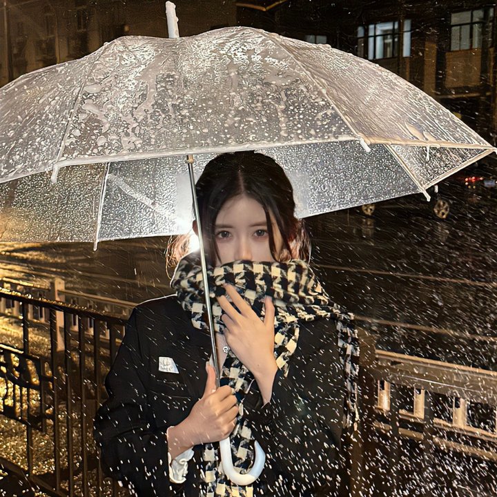 鲁邦三世:燃烧的斩铁剑